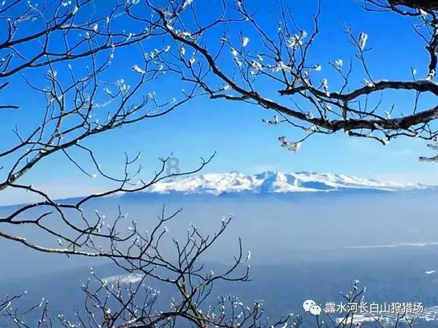 美容师证都考啥啊 美容师证需要复审吗